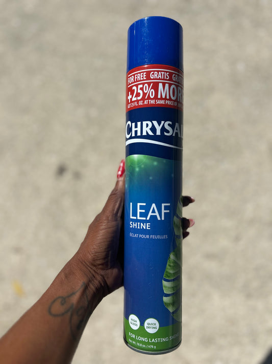 Chrysal Leaf Shine