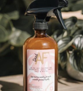 Dead AF- Plastic Bottle Spray