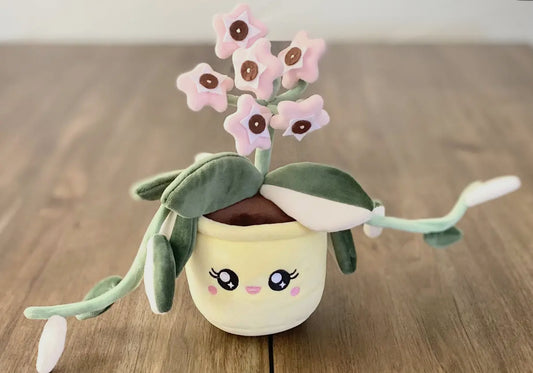 Hoya Carnosa Krimson Queen Plushie