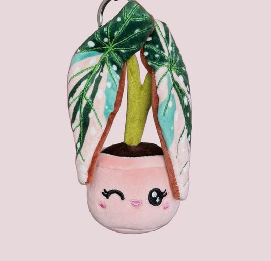 5” Variegated Begonia Maculata keychain